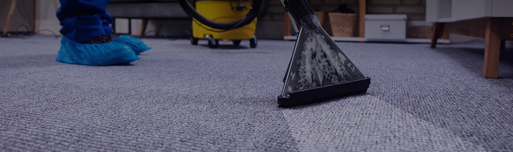 Top-rated carpet cleaners.