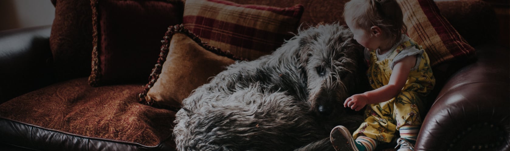 Top-rated recliner repair pros.